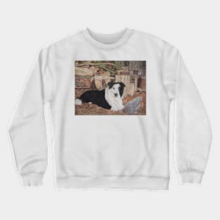 border collie in log shed with chickens dog portrait Crewneck Sweatshirt